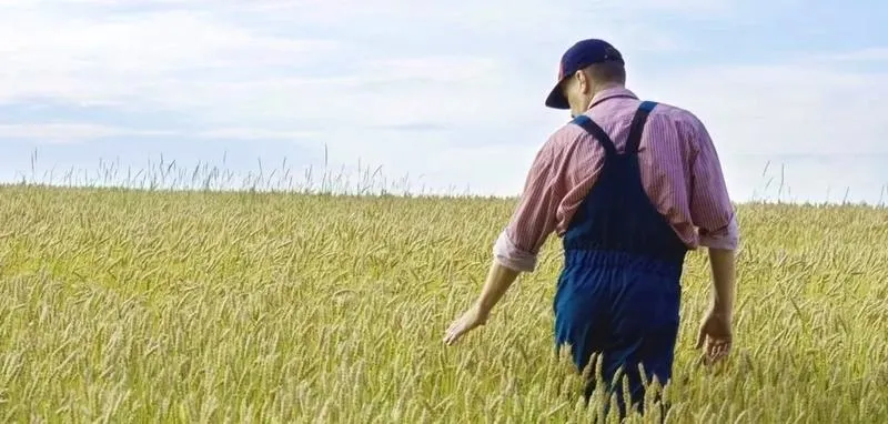 Ile jest dotacji na młodego rolnika: aktualne kwoty i warunki