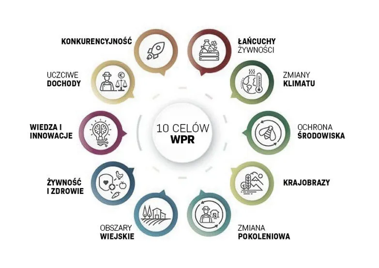 Jakie są dotacje unijne dla rolników: praktyczny przewodnik