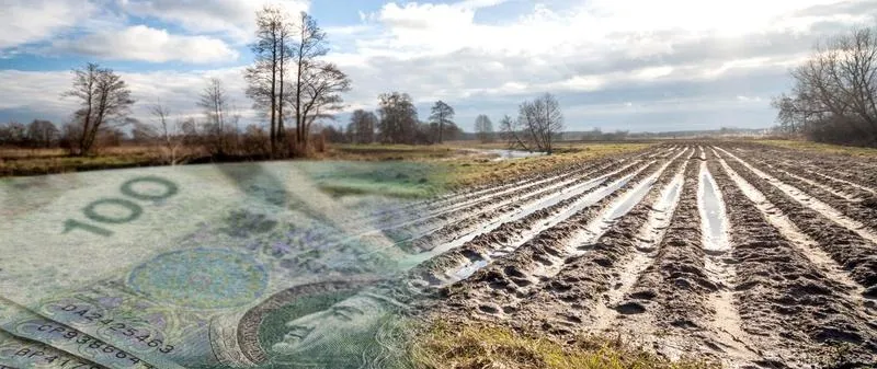 Kiedy rolnicy otrzymają dotacje w 2026 roku? Terminy wypłat i najważniejsze daty