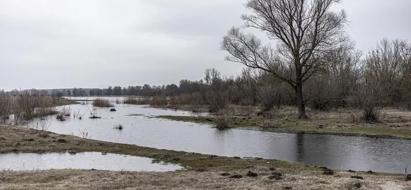 Dopłaty dla rolników