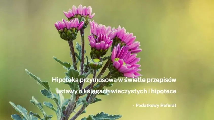Hipoteka przymusowa
