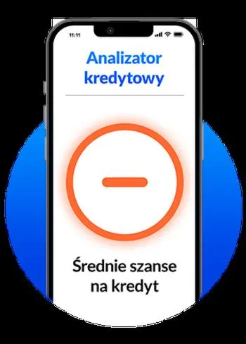 Spłata zadłużenia BIK