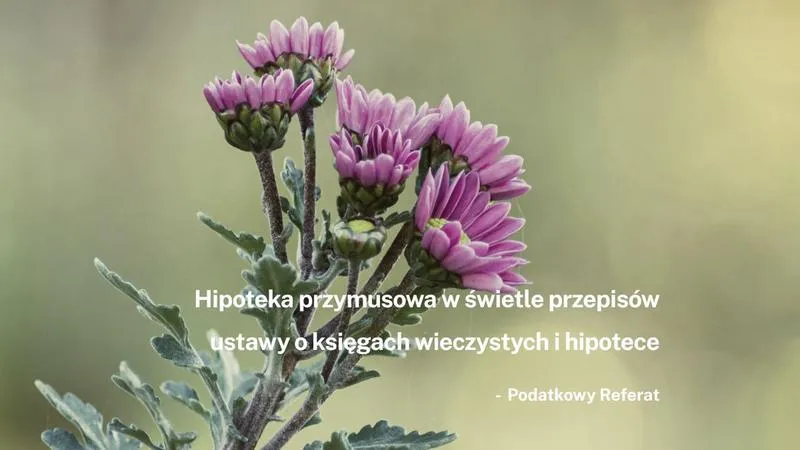 Wpis hipotekę przymusową